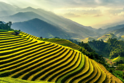 Longji Terraced Rice Fields - China tour packages -11 days